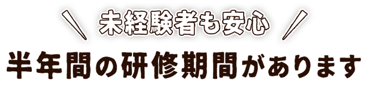 半年間の研修期間があります